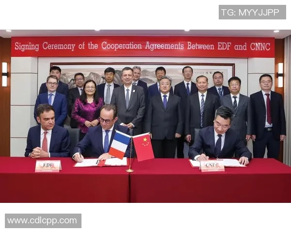 重磅专题：杭州排球队如何实现防反战术的全面革新与提升