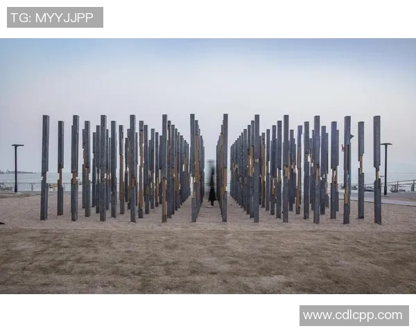 南京飞盘队状态分析与未来展望探讨之旅