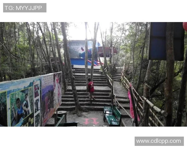 杨强独家分享攀岩技巧与心得助你征服高峰挑战自我极限