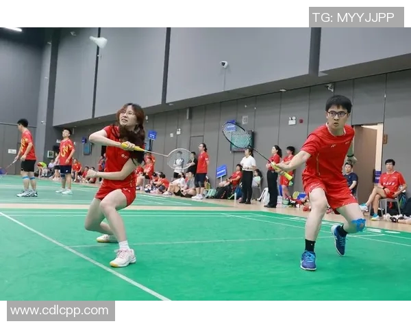 赛后分析：上海羽毛球队与深圳羽毛球队的战术对决与启示