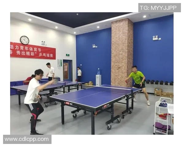 乒乓球的魅力与团队精神南京乒乓球队协作之道深度解析