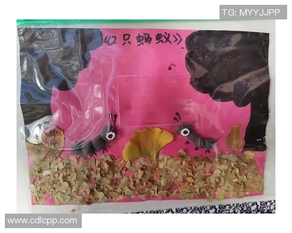 创意无限的足球明星贴画艺术之旅让你与偶像亲密接触