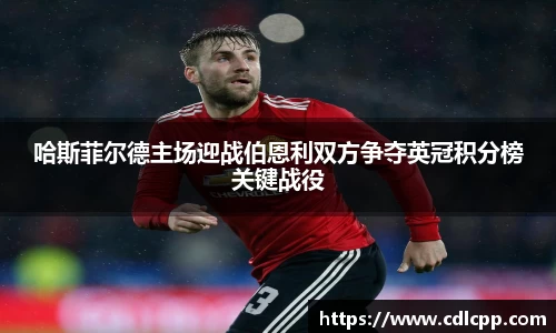 哈斯菲尔德主场迎战伯恩利双方争夺英冠积分榜关键战役