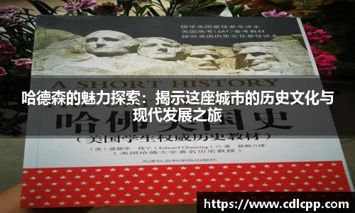 哈德森的魅力探索：揭示这座城市的历史文化与现代发展之旅