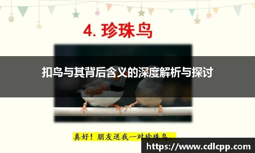 扣鸟与其背后含义的深度解析与探讨